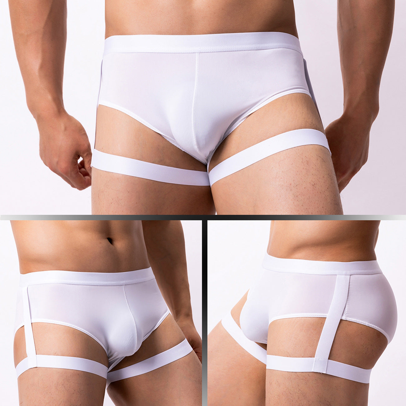 Sheer Garter Brief
