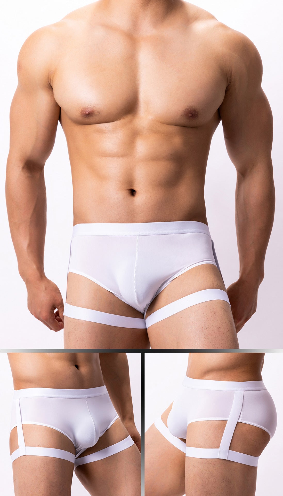 Sheer Garter Brief