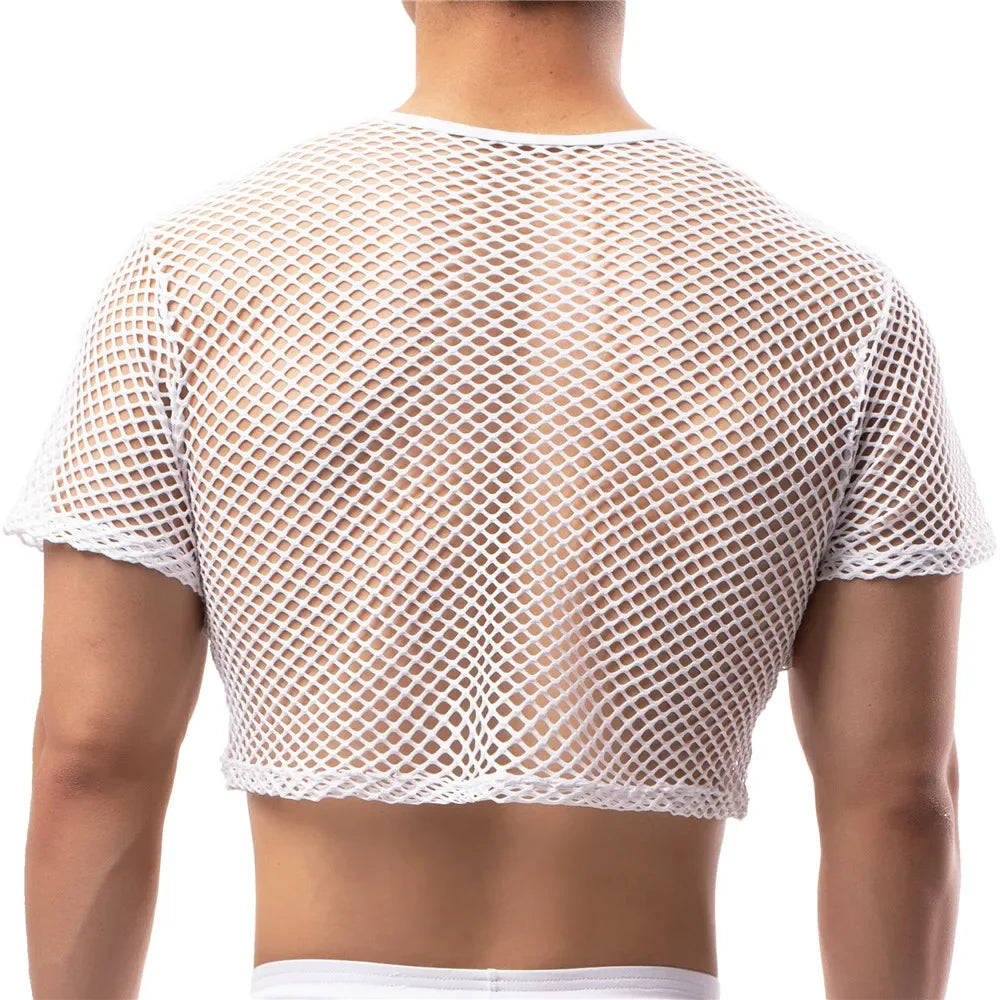 Ultimate Crop Top