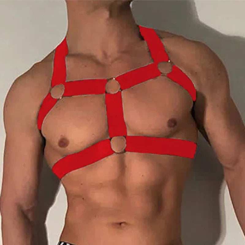 H Harness