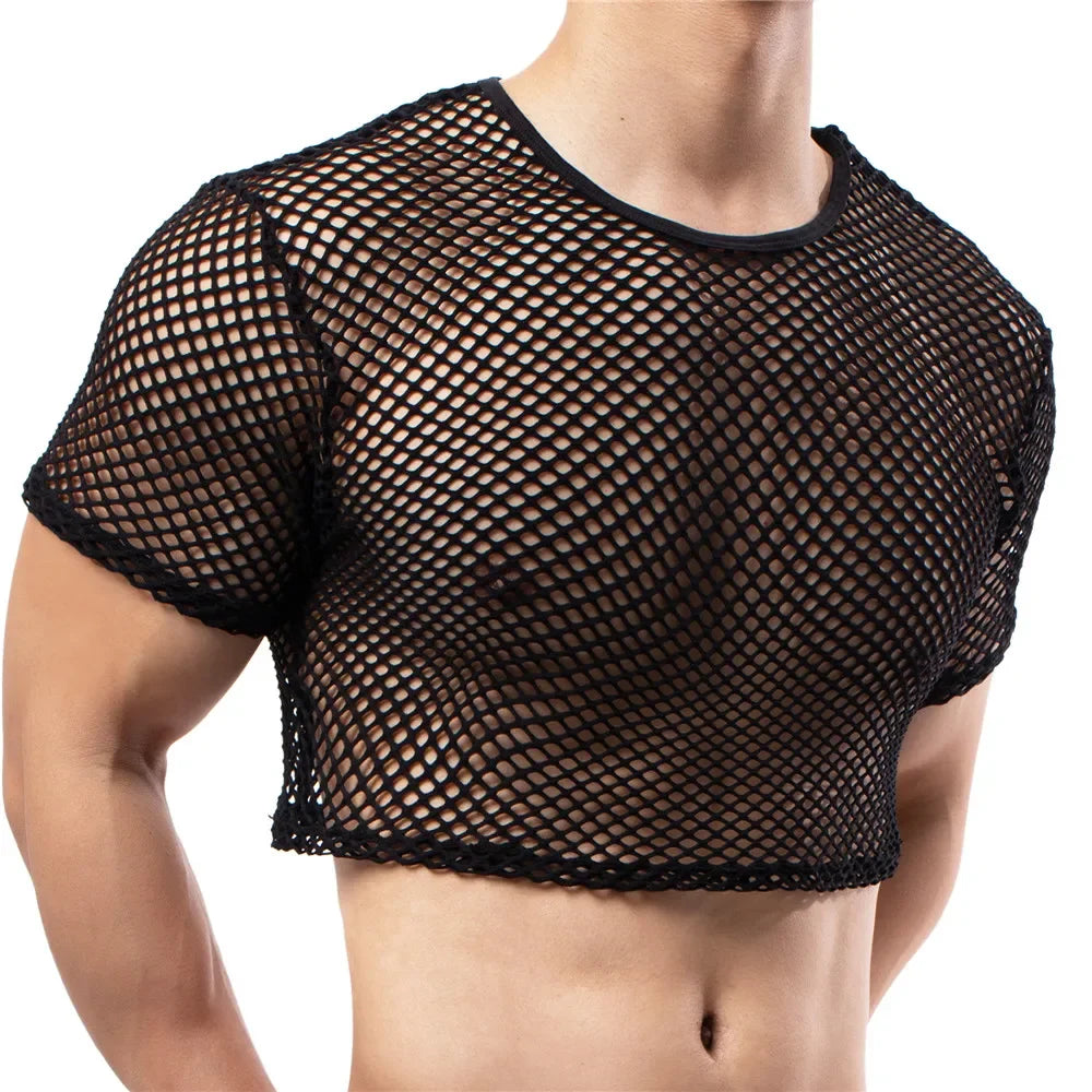 Ultimate Crop Top