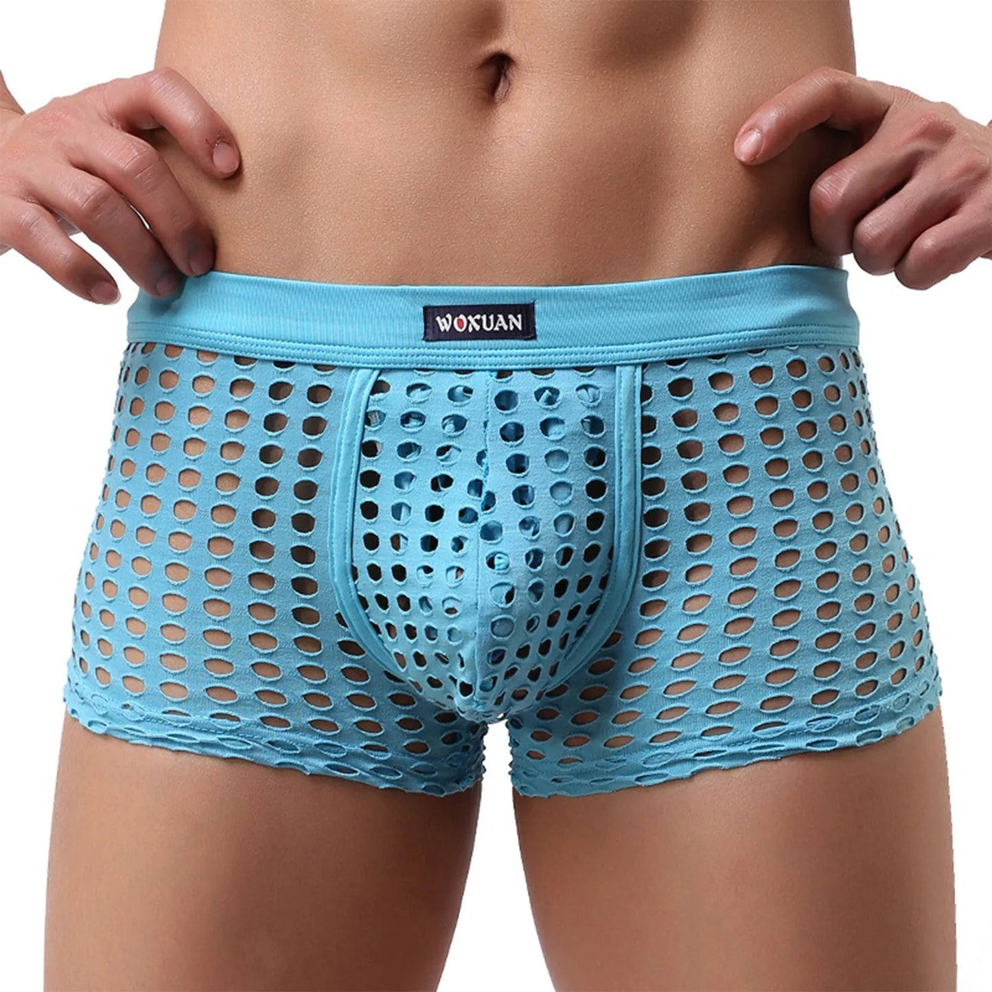 Hollowed Mesh Trunk