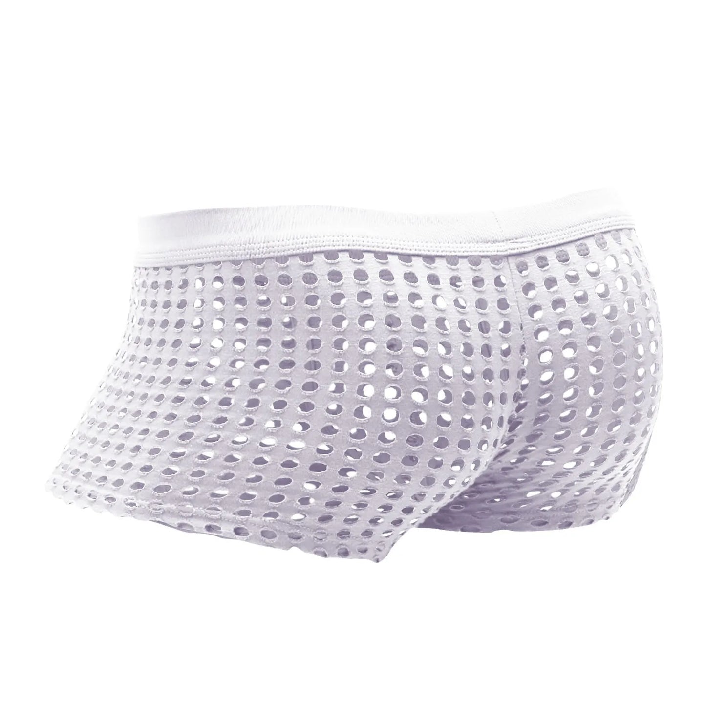 Hollowed Mesh Trunk