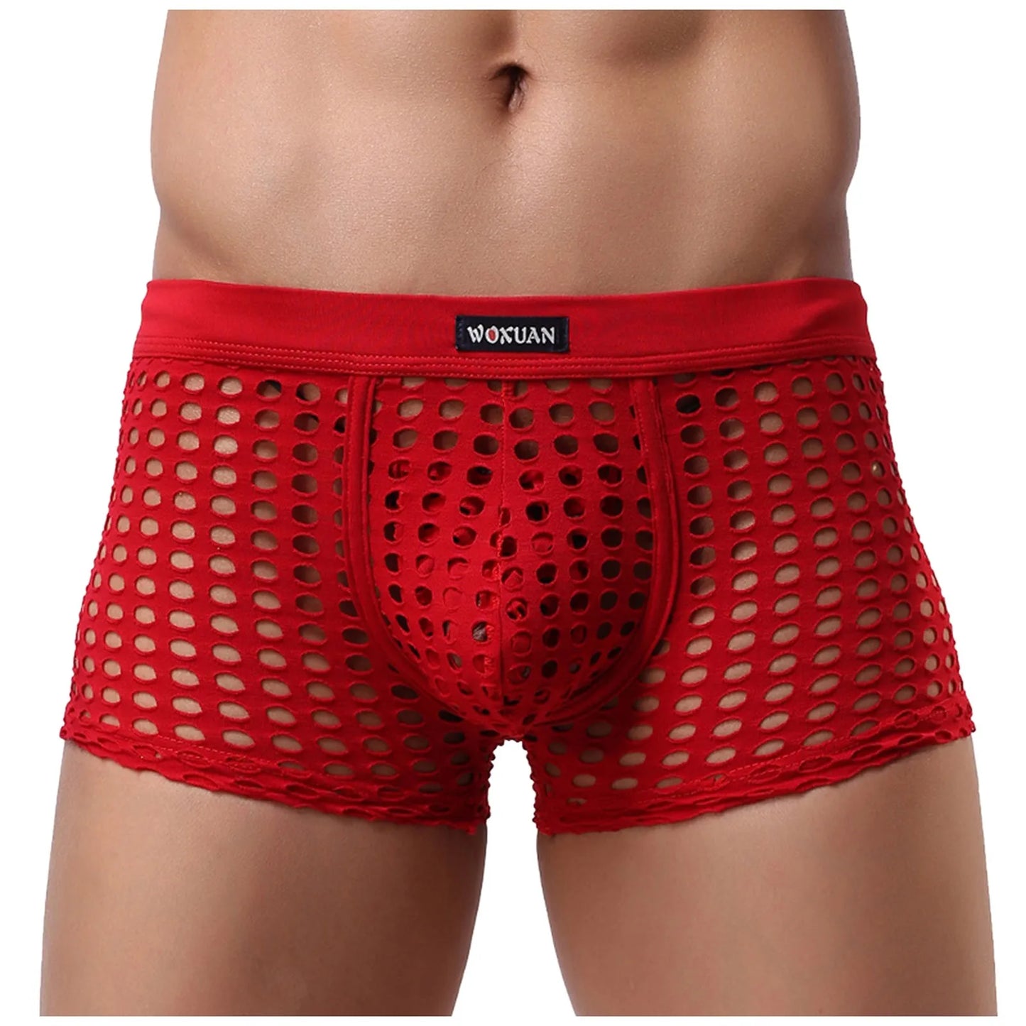Hollowed Mesh Trunk