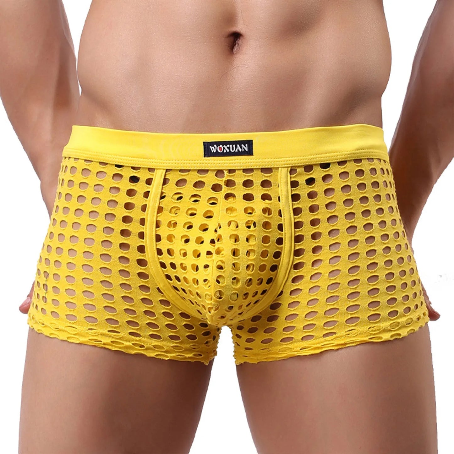 Hollowed Mesh Trunk
