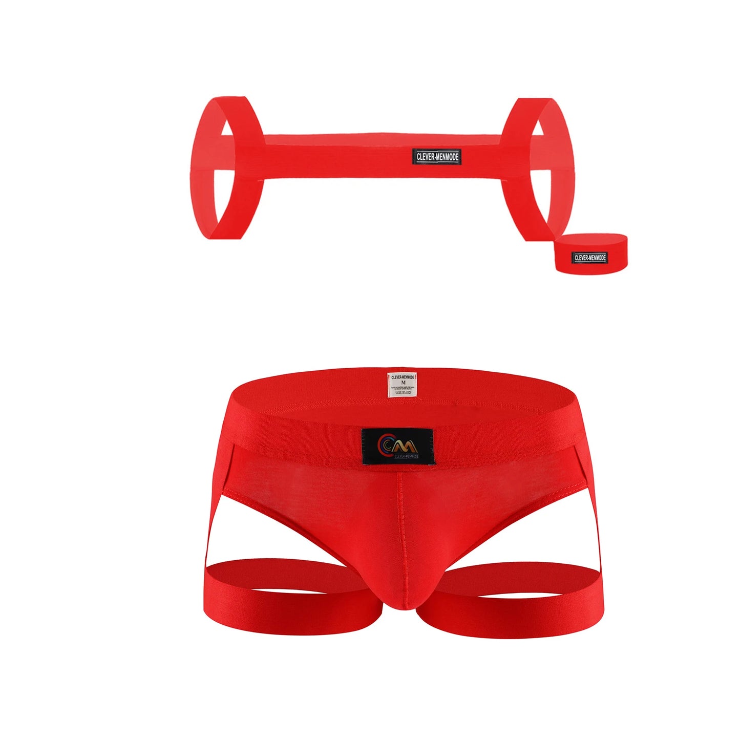 Circuit Harness/Garter Thong Set