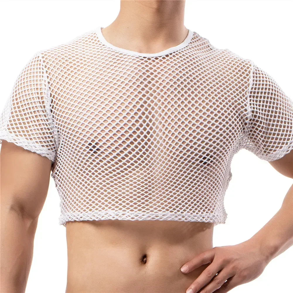 Ultimate Crop Top