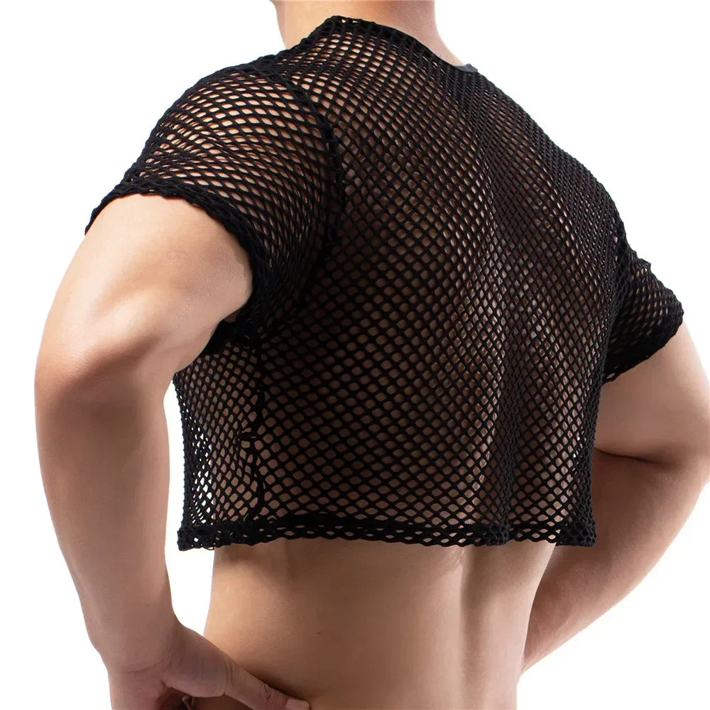 Ultimate Crop Top