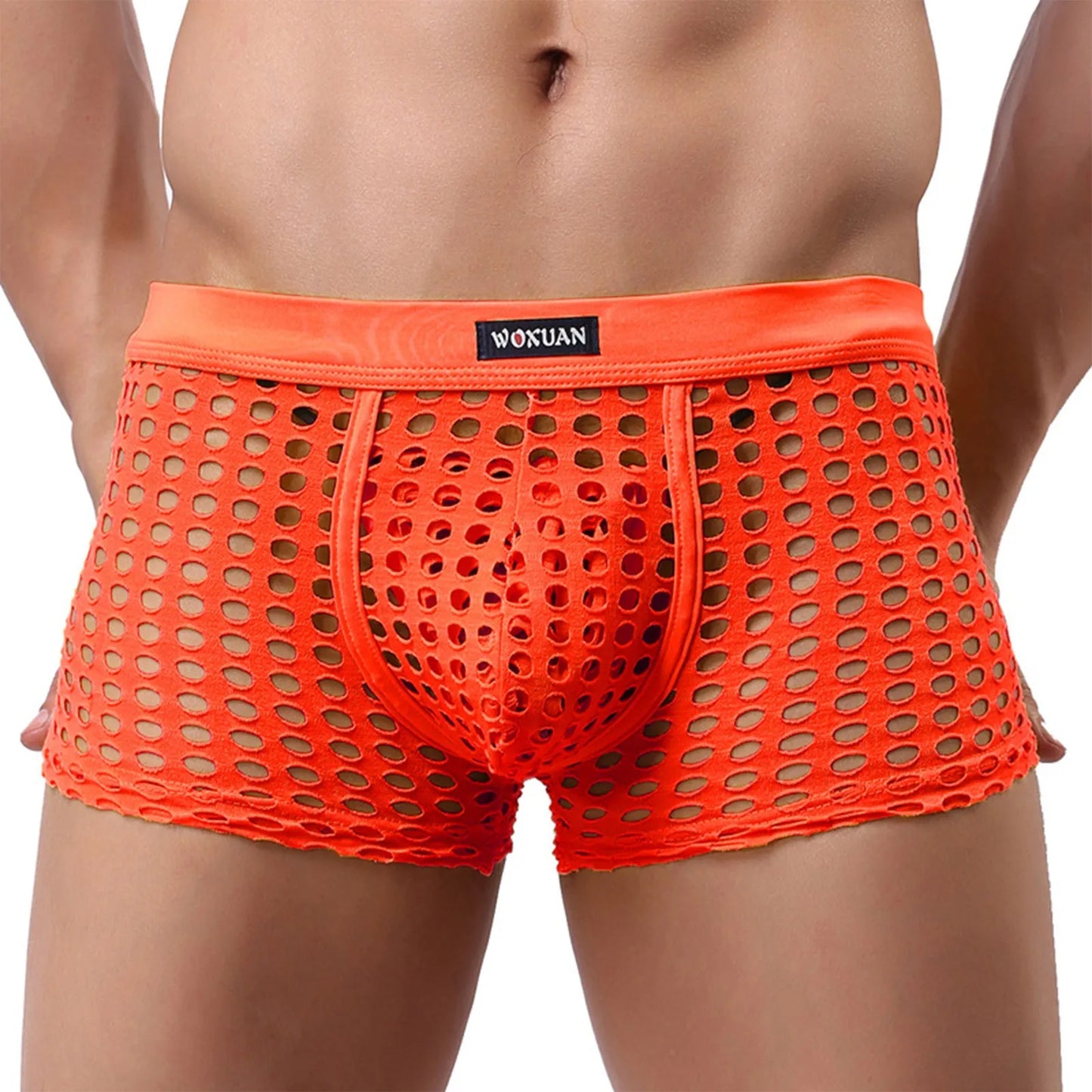 Hollowed Mesh Trunk