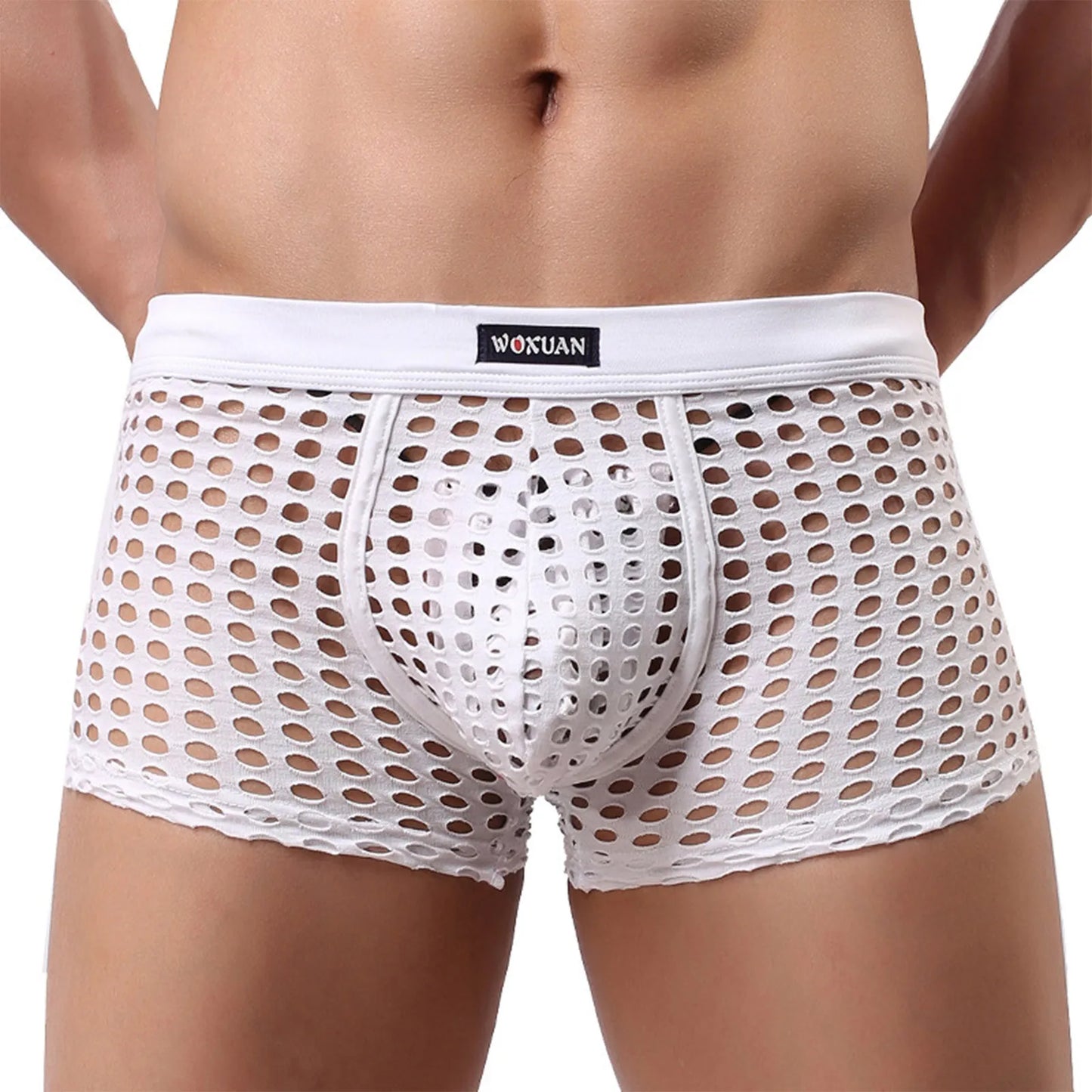 Hollowed Mesh Trunk
