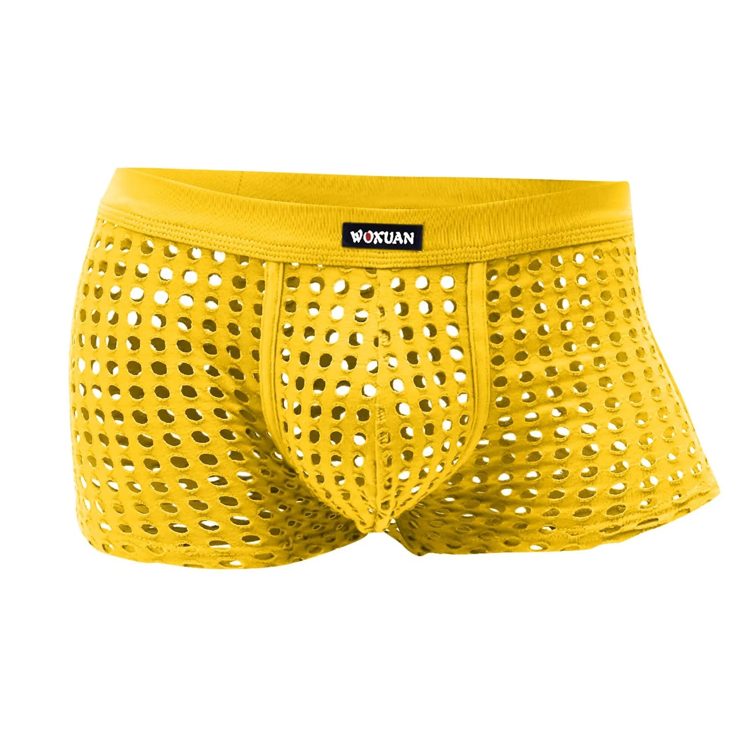 Hollowed Mesh Trunk