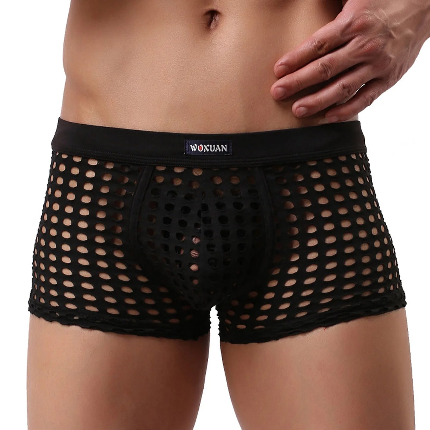 Hollowed Mesh Trunk