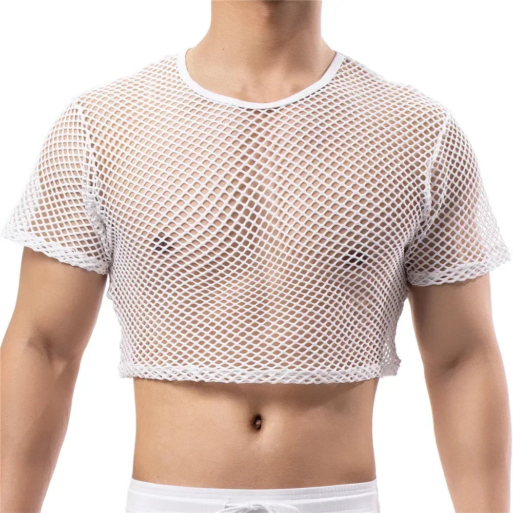 Ultimate Crop Top