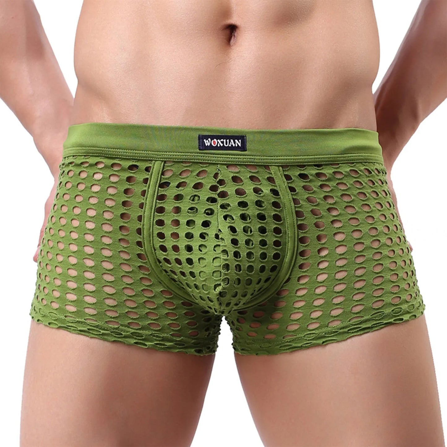Hollowed Mesh Trunk