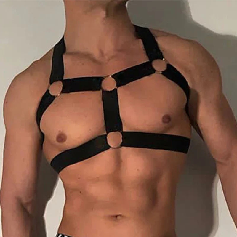 H Harness