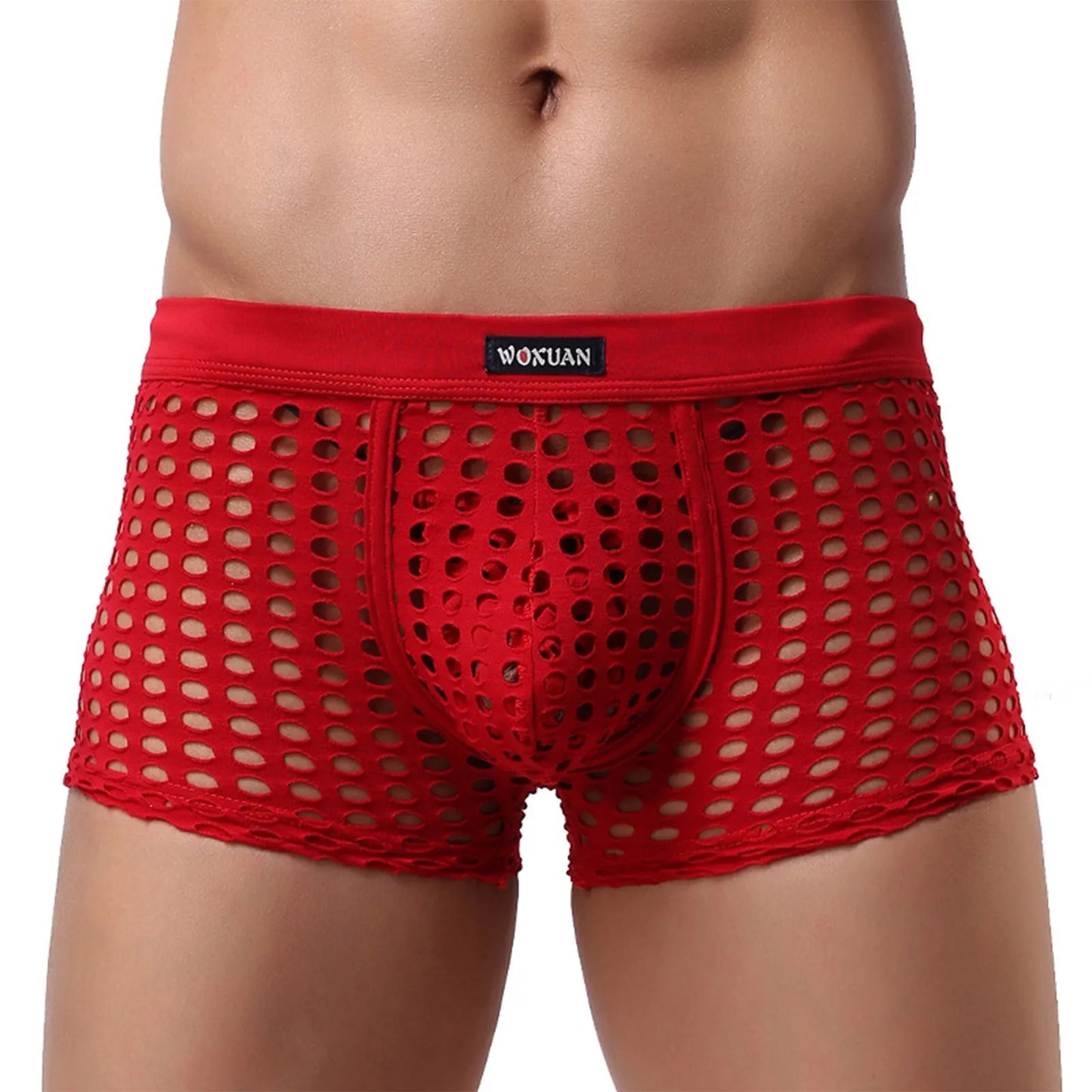 Hollowed Mesh Trunk