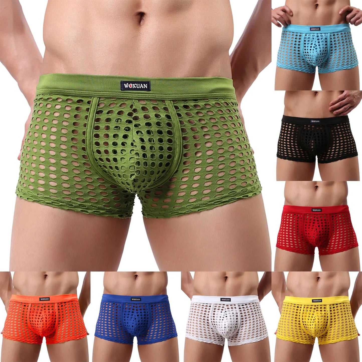 Hollowed Mesh Trunk